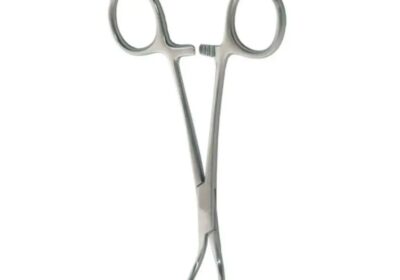 IMG_20250415_51478-1