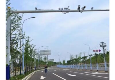 IMG_20250417_26969-1