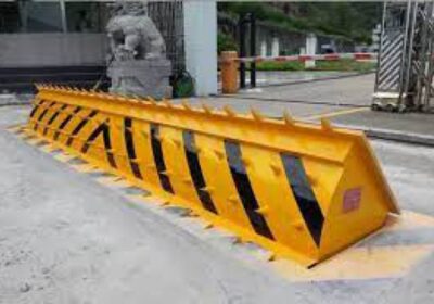 IMG_20250418_18779-1