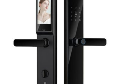 IMG_20250419_11271-1