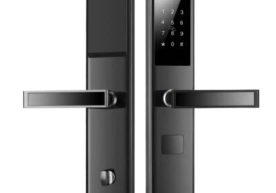 IMG_20250419_12124-1