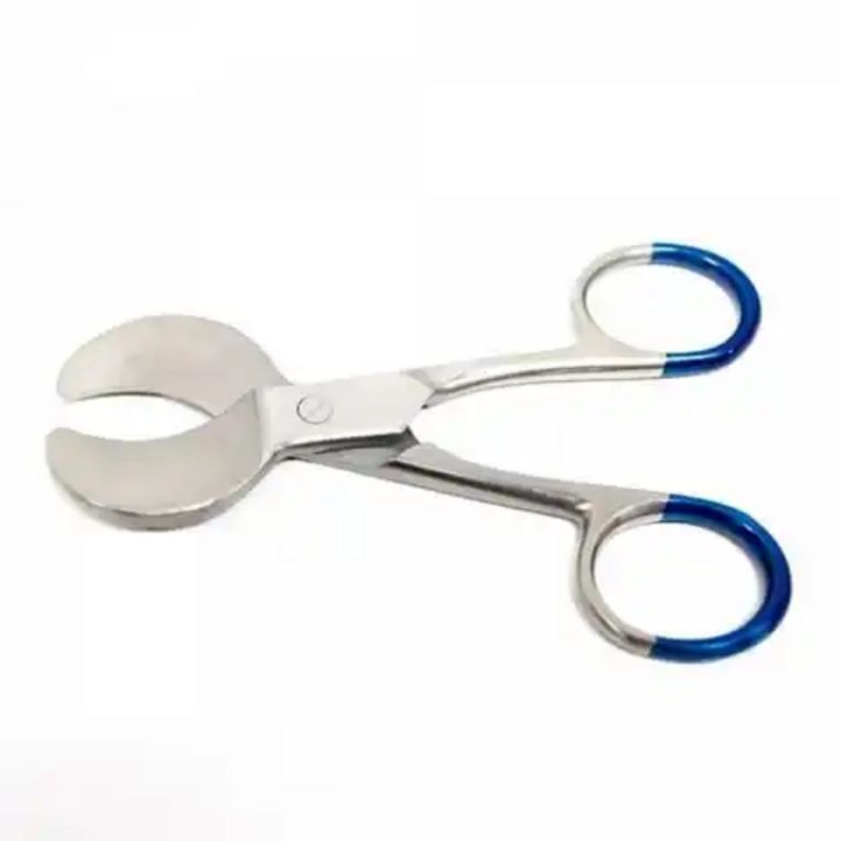 Vascular Cord by Scantrik