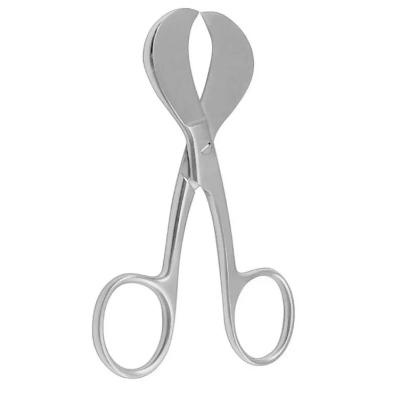 Gestational Cord by Scantrik