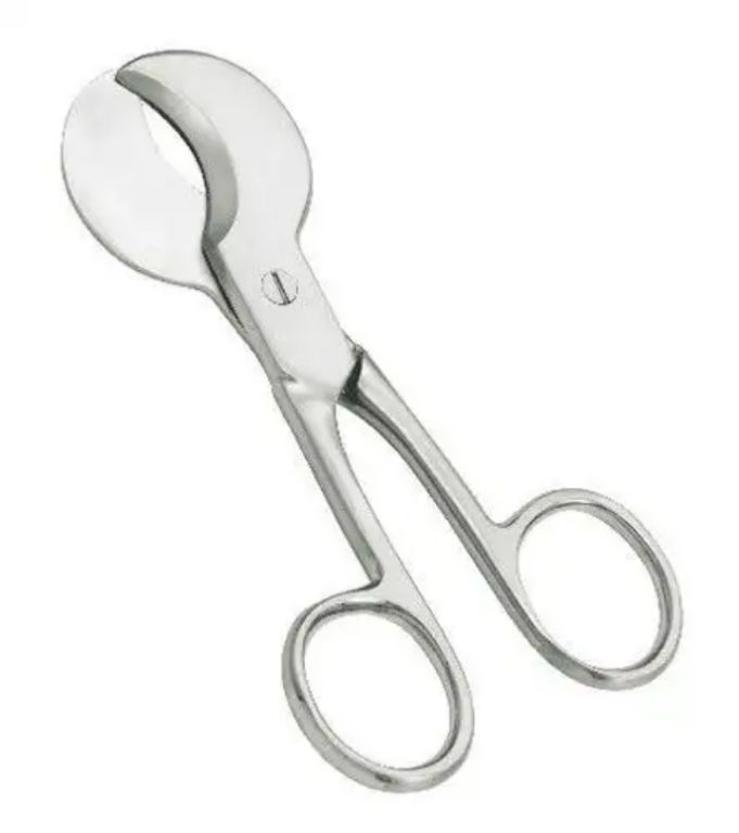 Cordus Umbilicalis by Scantrik