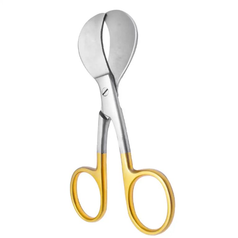 Umbilical Vein by Scantrik