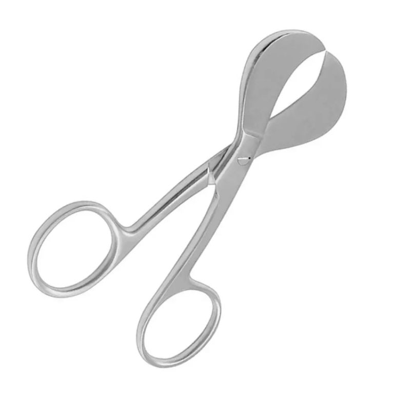 Umbilical Artery by Scantrik