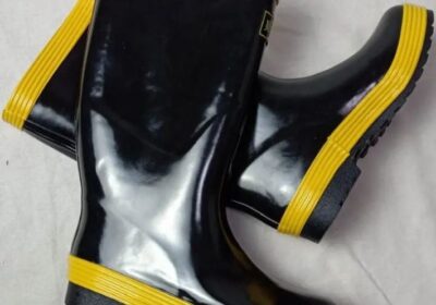 IMG_20250423_34586-2