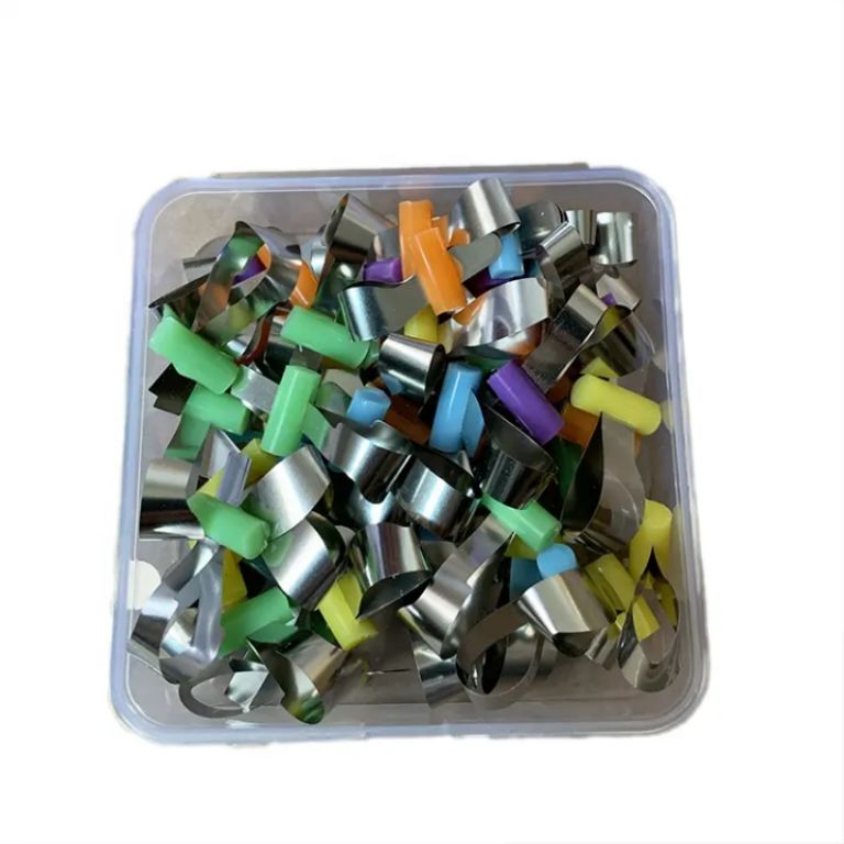 Upper Jaw Gums by Scantrik