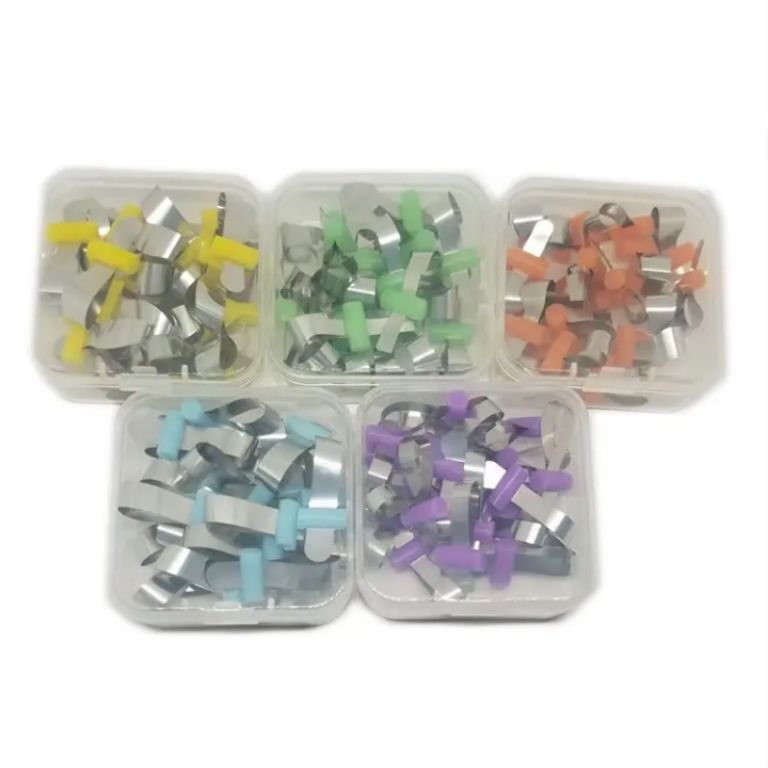 Maxillary Gum Tissue by Scantrik