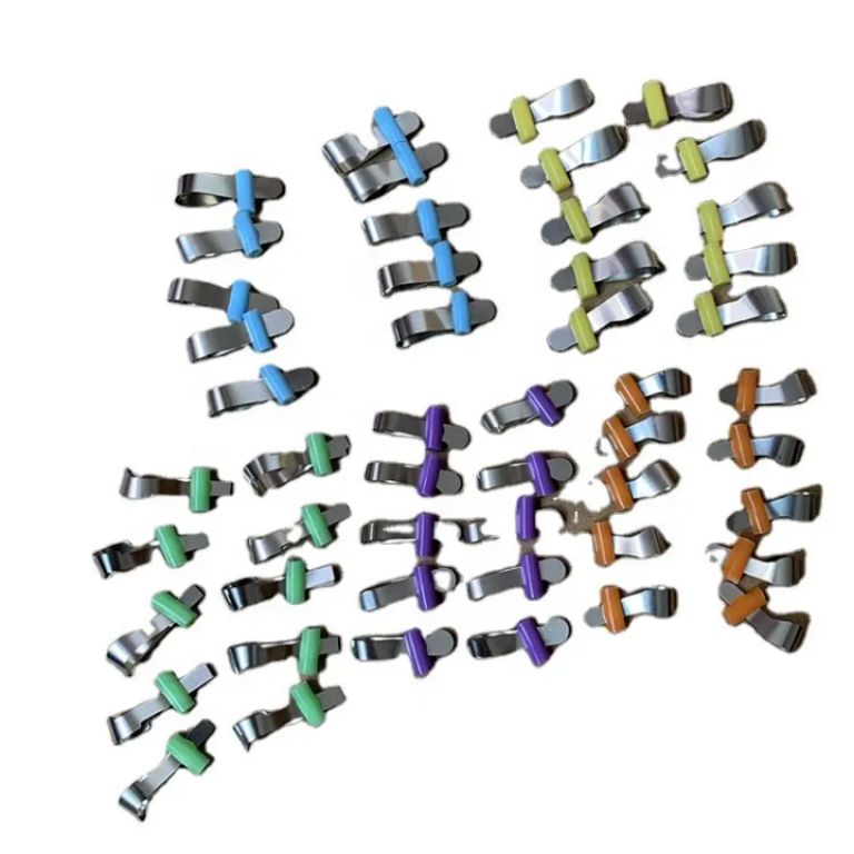 Labial Gingiva by Scantrik