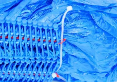 IMG_20250428_17339-1