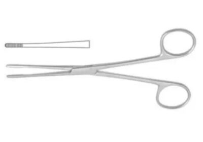 IMG_20250428_29451-1