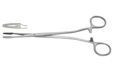 IMG_20250428_30961-1