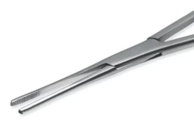 IMG_20250428_31284-1