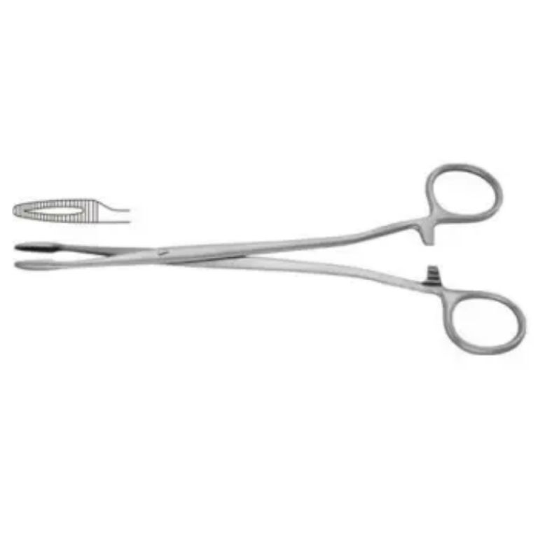 Nasal Forceps by Scantrik