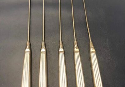 IMG_20250429_23791-1