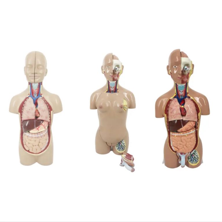 Null Body by Scantrik