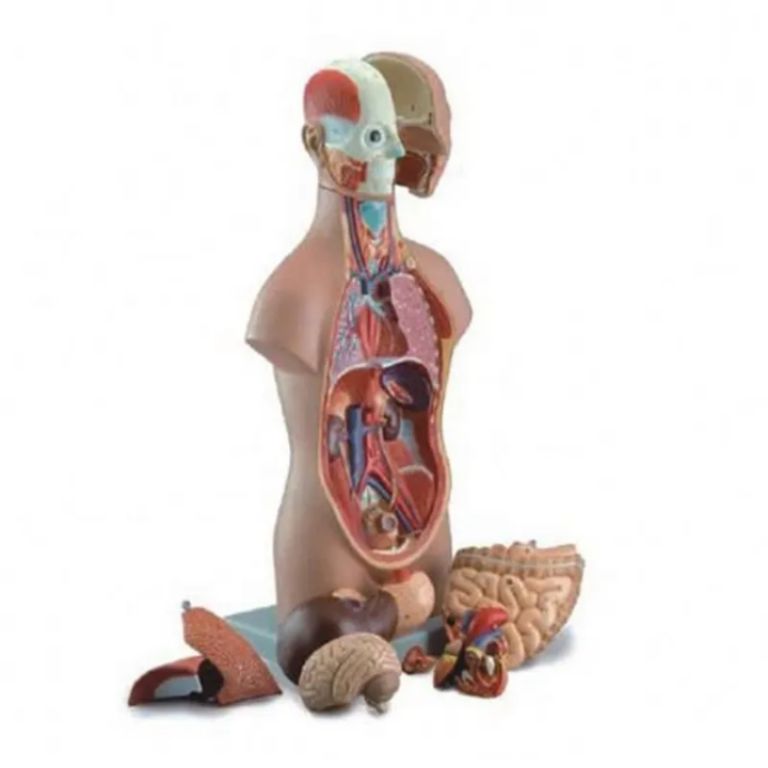 Character-Free Core by Scantrik