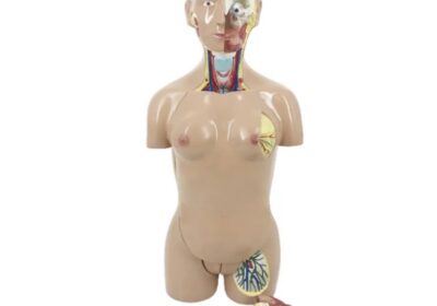 IMG_20250429_58250-1