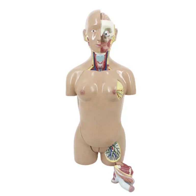 Neutered Frame by Scantrik