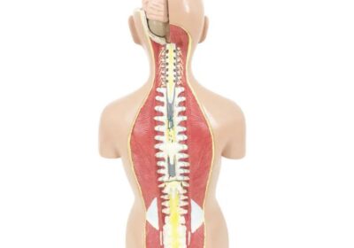 IMG_20250429_58560-1