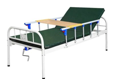 IMG_20250430_39278-1