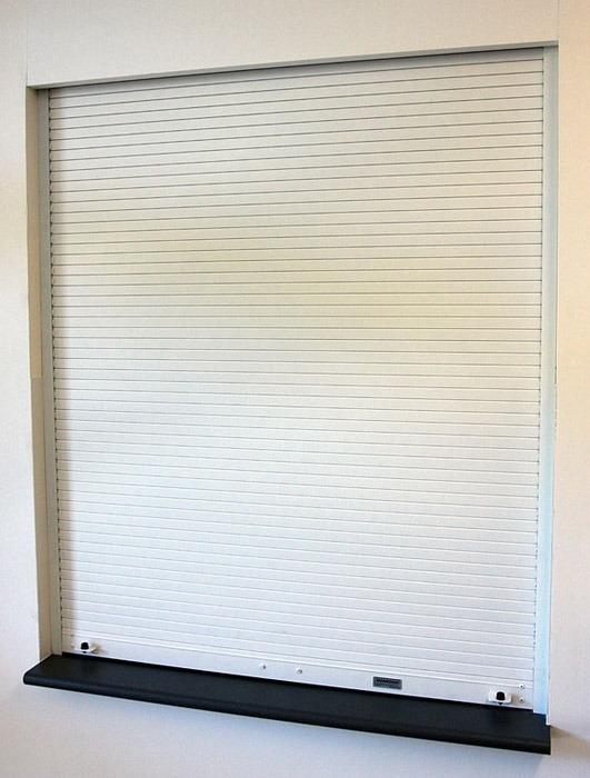 Sectional overhead door with motor & accessories by Hiphen solutions