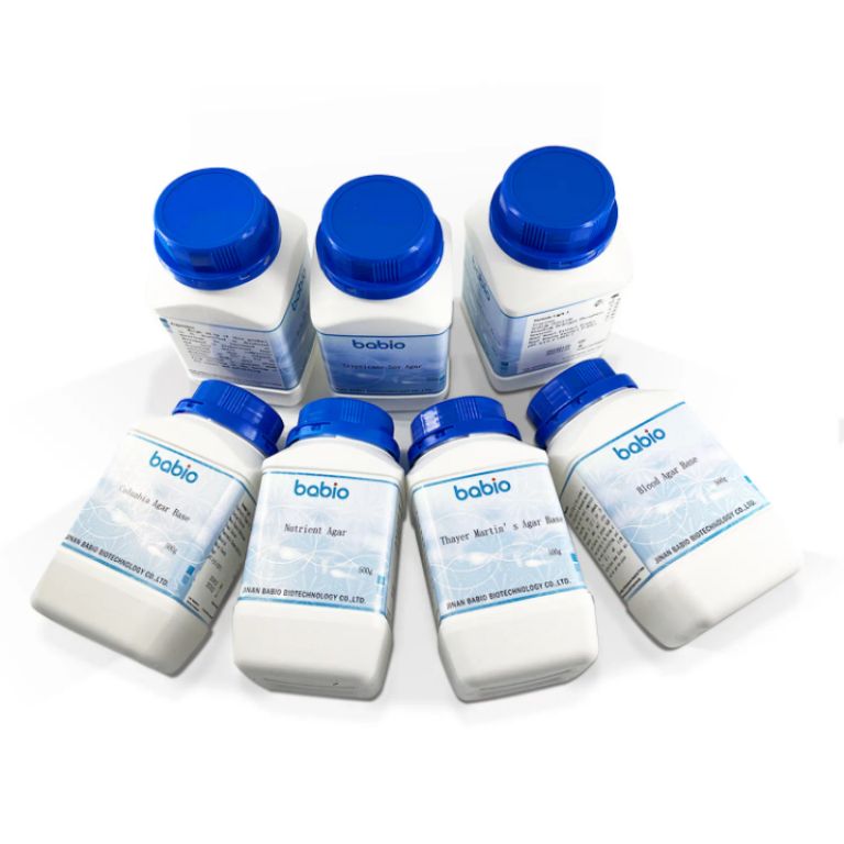 Sabouraud Dextrose Yeast Agar by Scantrik