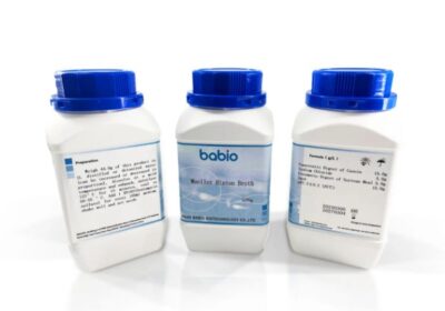 IMG_20250501_11402-1