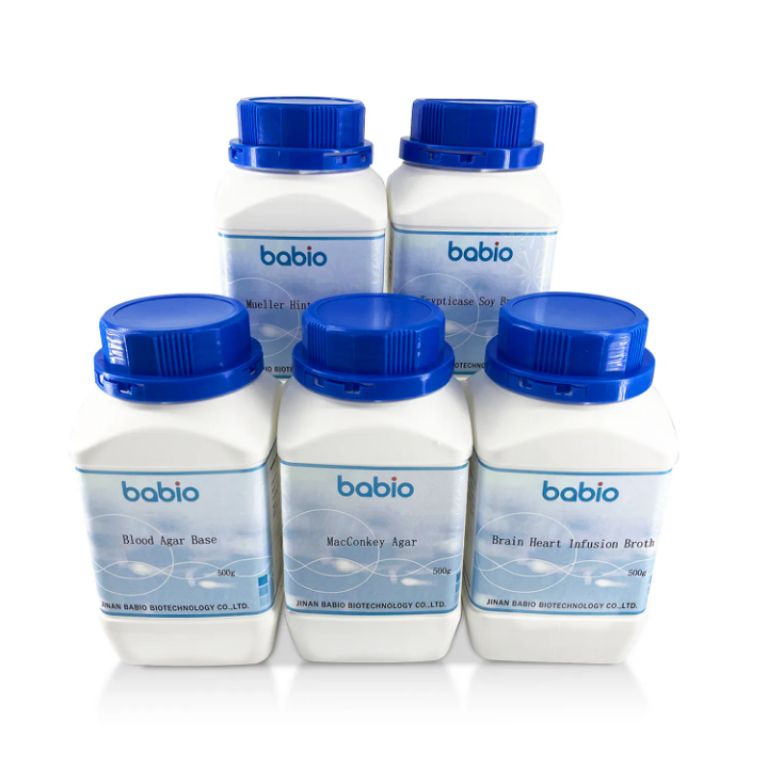 Potato Dextrose Agar by Scantrik