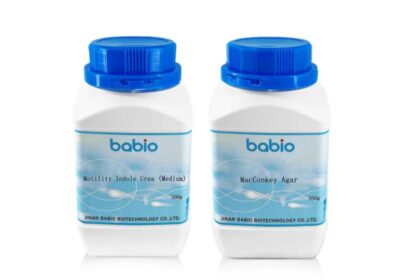 IMG_20250501_13129-1