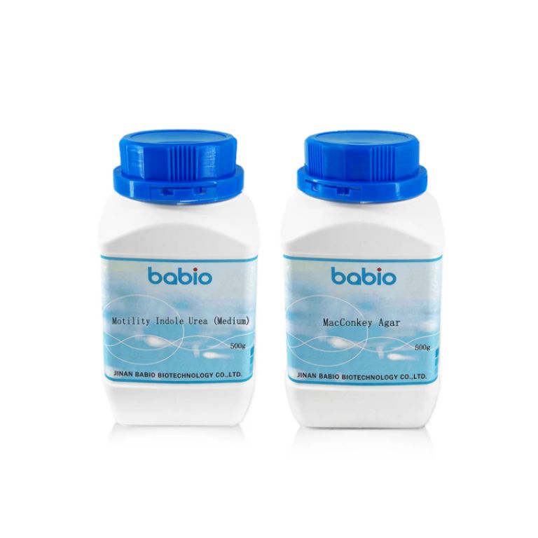 Glucose Agar by Scantrik