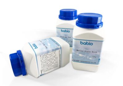 IMG_20250501_13468-1