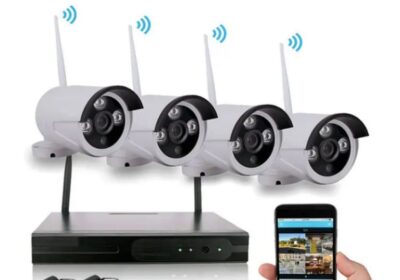 IMG_20250502_26578-1