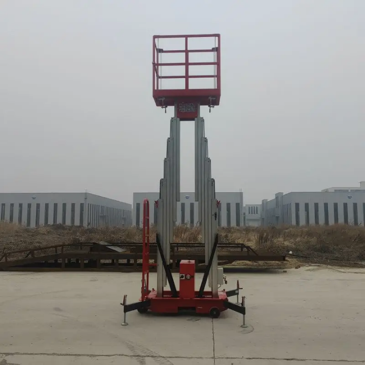 Double Mast Electric Lift by Home lift elevator