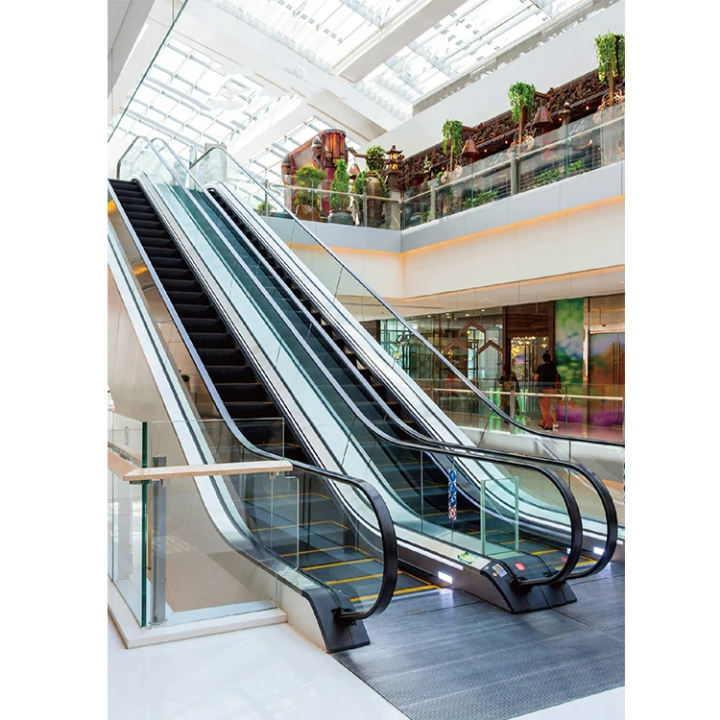 Retail Mall Passenger Conveyor Lift by Home lift elevator