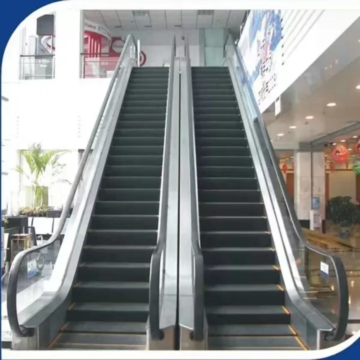 Commercial 30° Angle People Mover by Home lift elevator