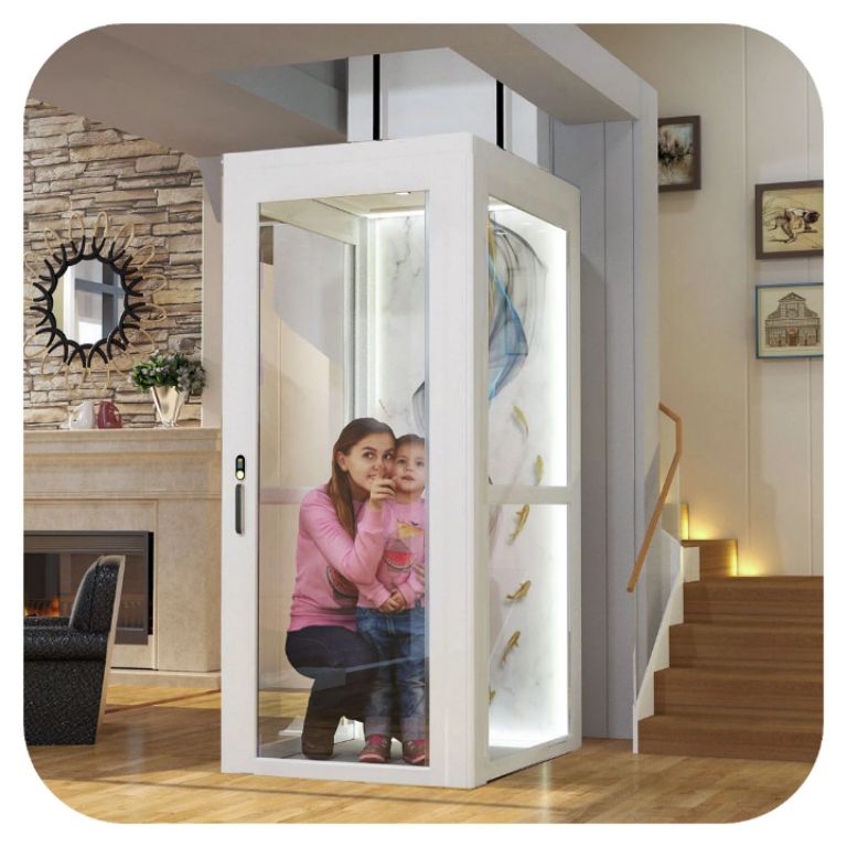 Dual-Passenger Lift for Three-Floor Homes by Home lift elevator
