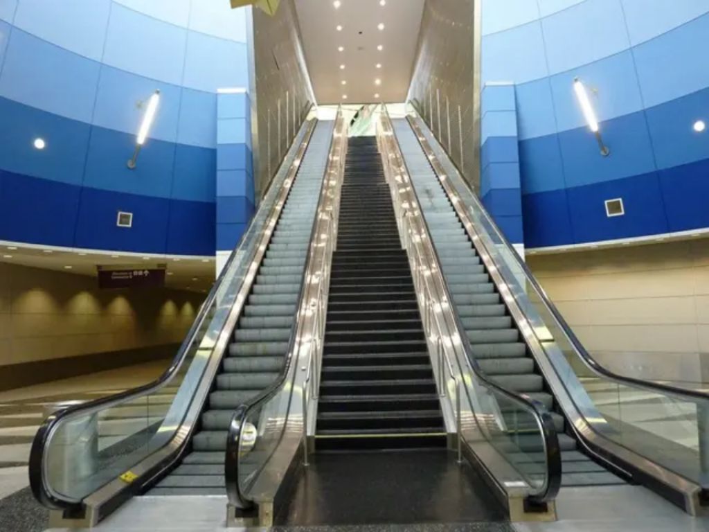 Vertical Transport Conveyor by Home lift elevator