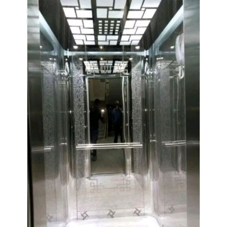 5-Level Access Elevator for Commercial or Home Use by Home lift elevator