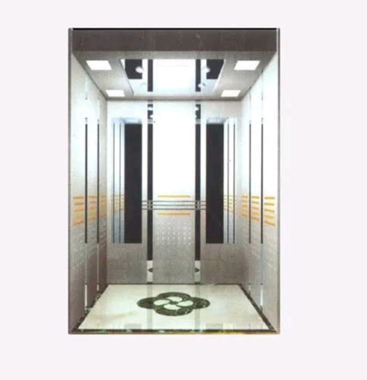 Heavy Duty 6 Person Residential Elevator by Home lift elevator