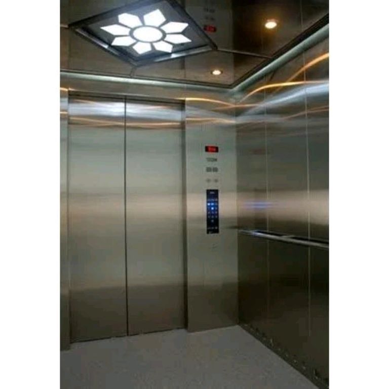 5-Stop 6-Person Stainless Steel Residential Elevator by Home lift elevator