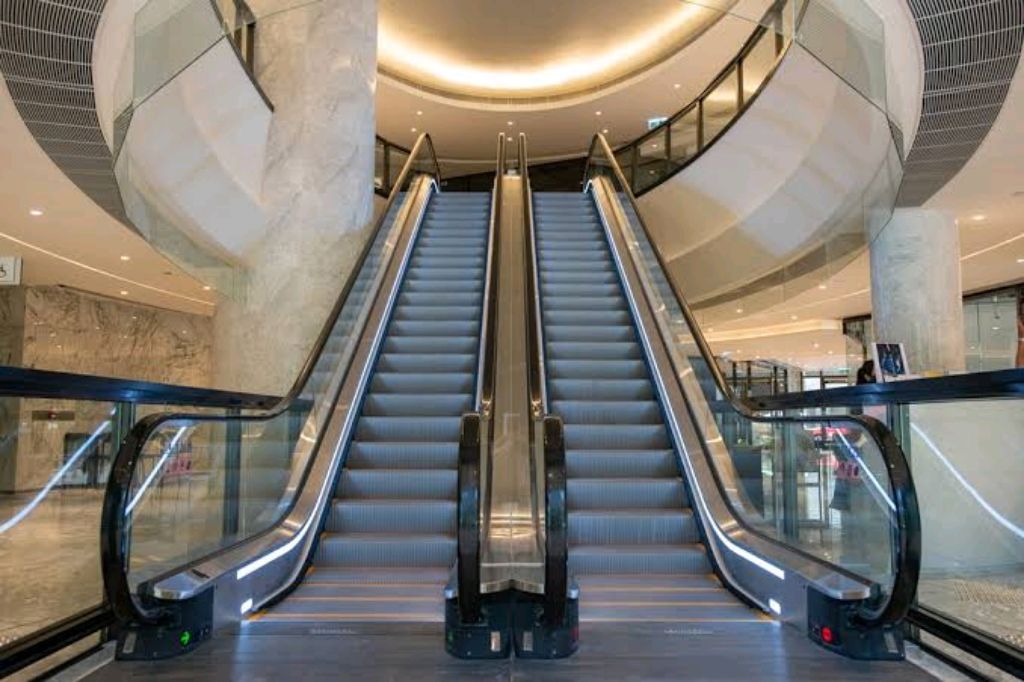 Light-Duty Residential Escalator by Home lift elevator