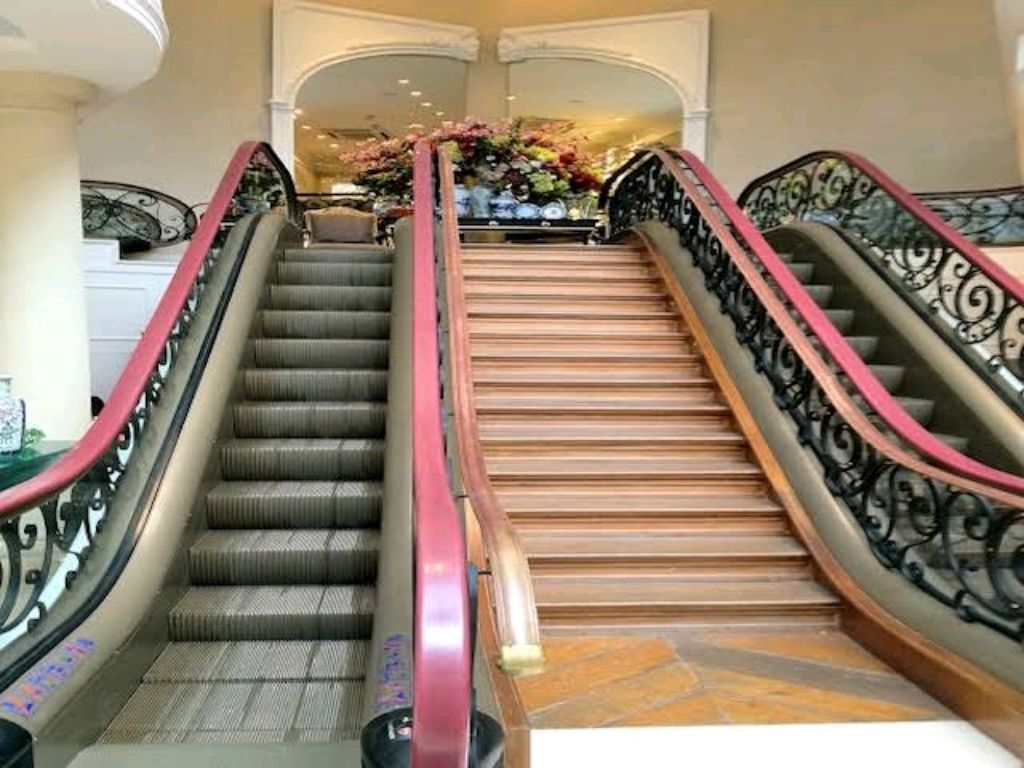 Domestic Moving Staircase by Home lift elevator