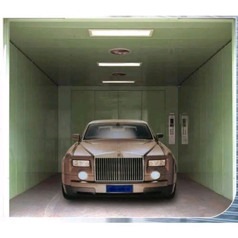 Car Elevator Shaft System by Home lift elevator