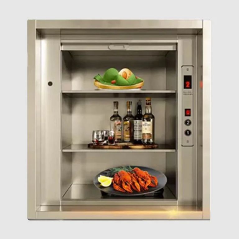 Pantry Elevator by Home lift elevator