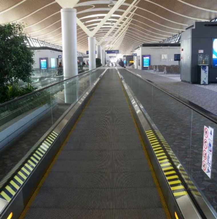 Walk Assist Conveyor by Home lift elevator