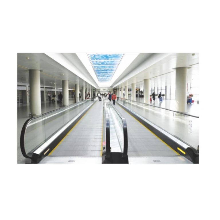 Motorized Walkway by Home lift elevator