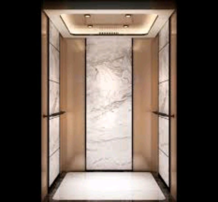 450kg Six Passenger Residential Elevator by Home lift elevator