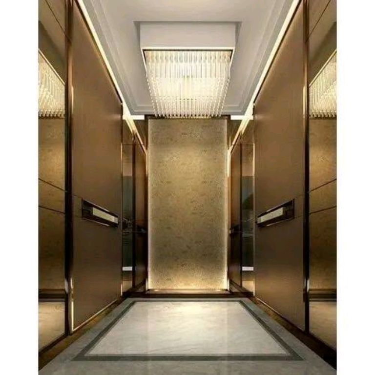 Multi-Stop Stainless Steel Lift by Home lift elevator